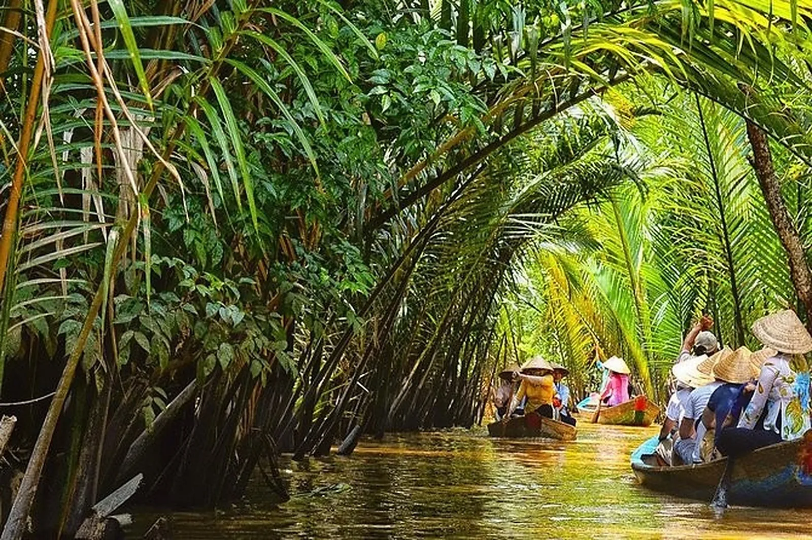 Vietnam experience
