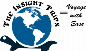 The Insight Trips