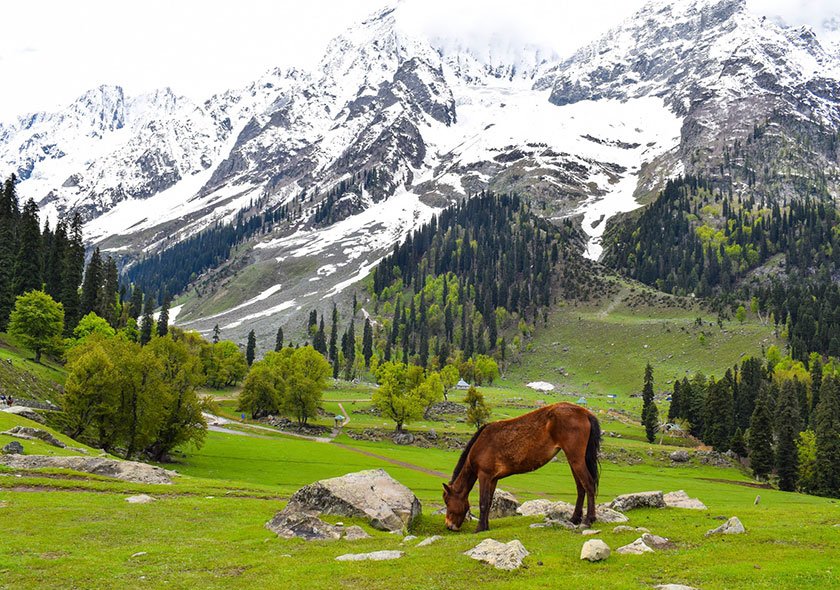 Kashmir-Heaven-on-earth-5Night-6Days